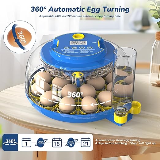 Incubator for Hatching Eggs with Automatic Egg Turning & Temperature/Humidity Control, 18 Egg Incubator for Chicken/Quail/Duck/Goose Eggs - Image 4
