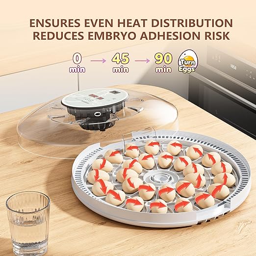 MeeF incubators for Hatching 28 Eggs,Independent atomizing humidifier, Auto Flip, Additional Equipped Well as Duck and Goose Egg Trays That can Hold 12 Eggs.(White) - Image 5