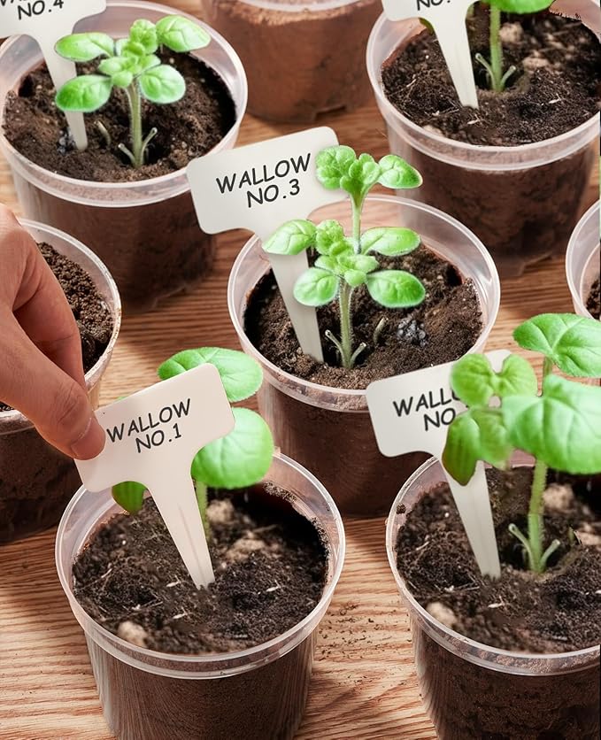 homenote Clear Nursery Pots for Plants,6.7 Inch Plant Pot for Planting Plastic Seedling with Drainage Holes Seed Starter Flower High Transparency with 20 Labels (15 Pack) - Image 5