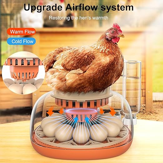 12 Egg Incubator, Automatic Turning with Temperature & Humidity Control, Egg Candler, 360 View with Air Vent, Auto Water Bottle Refill, Chicken Incubator for Hatching Eggs - Image 4