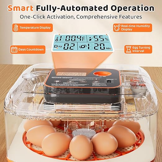 Incubators for Hatching Eggs 12 Egg Digital Egg Incubator Precision Auto Temp Humidity Control 6 Gear Adjustable Auto Turner Auto Stop Turning Hatching Days Display for Chicken Duck Goose Eggs - Image 3