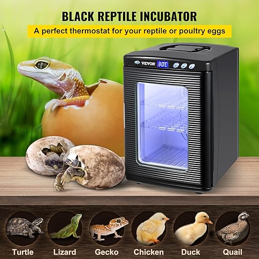 Happybuy Black Reptile Incubator 25L Scientific Lab Incubator Digital Incubator Cooling and Heating 5-42°C Reptile Egg Incubator 12V/110V Work for Small Reptiles - Image 2
