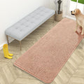 OLANLY Dog Door Mat for Muddy Paws 59x24, Absorbs Moisture and Dirt, Absorbent Non-Slip Washable Doormat, Quick Dry Chenille Mud Mat for Dogs, Entry Indoor Entryway Carpet for Inside Floor, Peach by OLANLY
