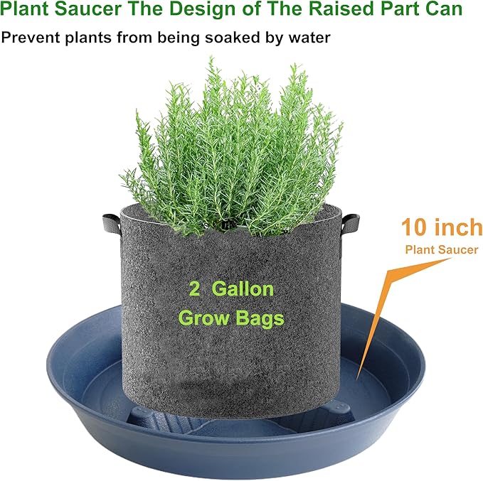 4 Pack Plant Saucer 10 inch, 8 12 14 17 inch, Plant Stand Plastic Plant Saucers for Indoors Outdoor, Heavy Duty Flower Plant Risers for Inside Pots, Pot Saucers for Plants, Grow Bags Saucers - Image 4