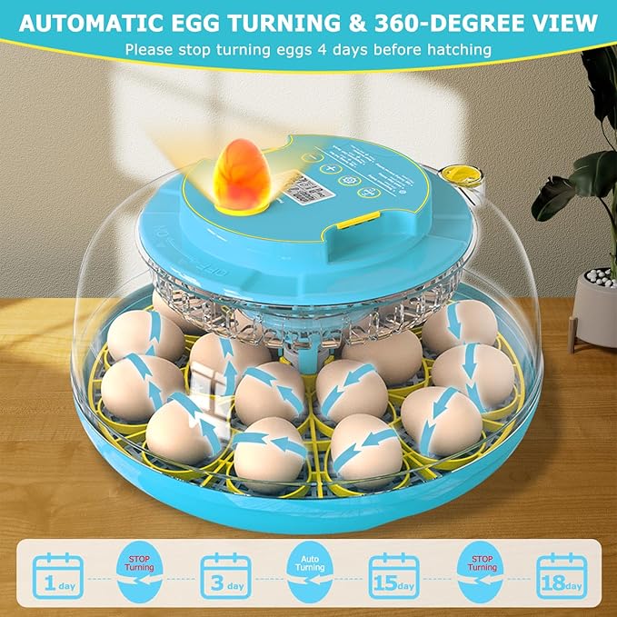 Incubators for Hatching Eggs, 18 Eggs Incubator with Automatic Egg Turning and Temperature Humidity Control, Egg Candler with 360° Viewing for Home, Farm, Classroom, Hatching Chicken, Duck,Quail,Goose - Image 4