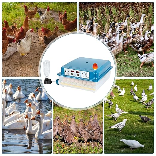 64 Egg Incubators for Hatching Eggs, with Auto Turner & Humidity Control, Automatic Egg Turning Rotates 360 Degrees, Visual Control Panel, Hatchable Duck/Goose/Bird Eggs for Home, Farm, Classroom - Image 9