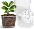 8 Packs 8 Inch Reinforced Large Clear Nursery Pots with Sacuers, Transparent Plastic Plant Pot Seedling Planter with Drainage Holes for Vegetable Propagation, Root Cutting, Seed Starting by Bluepro
