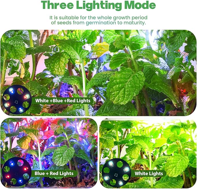 Seed Starter Trays with Grow Lights, 72 Cells Seed Starter Kit with Lights, 3 Lighting Mode, 4 Timing Set, Germination Kit for Seed Starting Trays, Seedling Starter with High Humidity Control Domes - Image 2