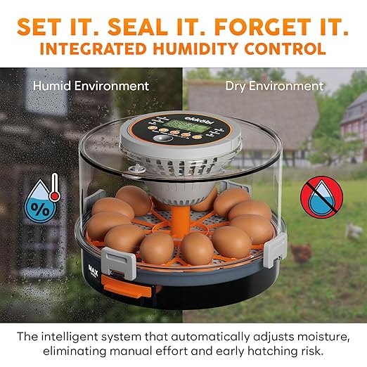 12 Egg Incubator with Automatic Egg Turning and Humidity Control – Temperature Adjustment – incubators for Hatching Eggs – Built-in Egg Candler – Incubadora de Huevos de Gallina – Easy to Use - Image 5