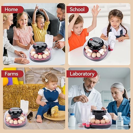 12 Egg Incubators for Hatching Eggs, Chicken Egg Incubator with Automatic Egg Turning and Temperature Humidity Control, 360° Clear View Lid or Home, Farm, Classroom, Hatching Chicken, Duck,Quail,Goose - Image 8