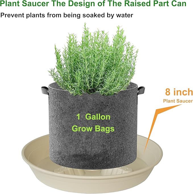 4 Pack Plant Saucer 8 inch, 10 12 14 17 inch, Plant Stand Plastic Plant Saucers for Indoors Outdoor, Heavy Duty Flower Planter Drip Trays for Pots, Pot Saucers for Plants, Grow Bags Saucers - Image 4