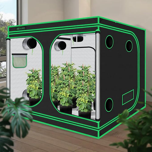10x10 Grow Tent, 120"x120"x78" Growing Tent with Observation Window and Floor Tray for Hydroponics Indoor Plant Growing Large Grow Room - Image 2