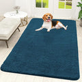 OLANLY Dog Door Mat for Muddy Paws 59x35, Absorbs Moisture and Dirt, Absorbent Non-Slip Washable Doormat, Quick Dry Chenille Mud Mat, Entry Indoor Entryway Carpet for Inside Floor, Atlantic Blue by OLANLY