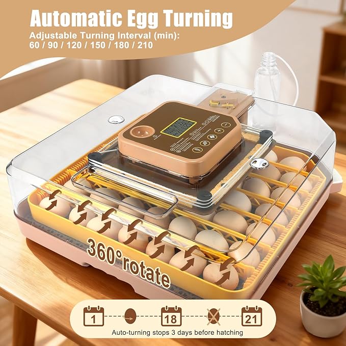 Automatic 48-Egg Incubator for Breeders, Sensor-Based Precise Humidity & Temp Control, Chick Separator, Adjustable Egg Spacing, Auto Turn & Auto Stop, Preset Incubation Days, Candler - Image 2