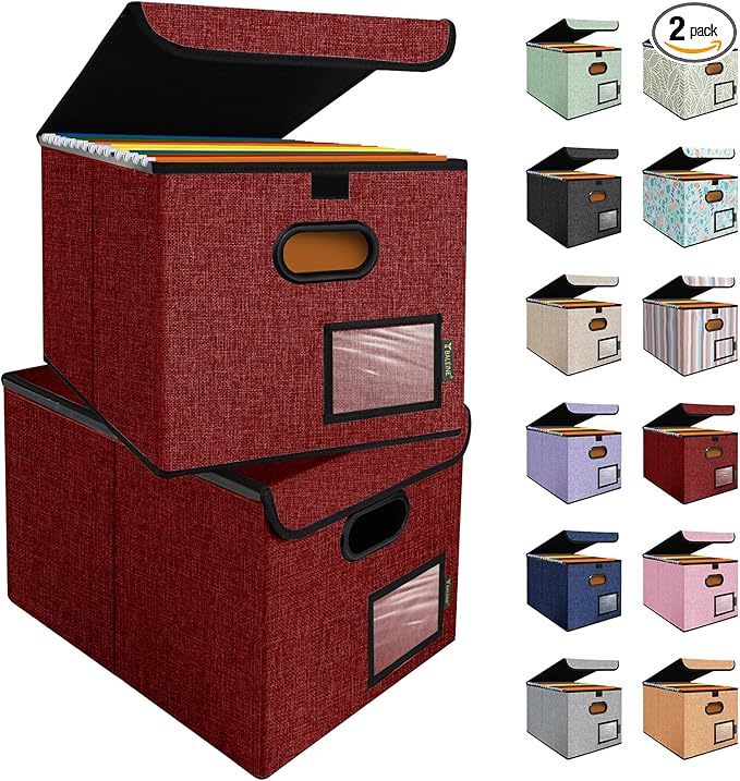 BALEINE Modern Red File Storage Box with Lid, Collapsible File Folder Organizer, 2 Pack, 15x12.5x10.5 inches by BALEINE
