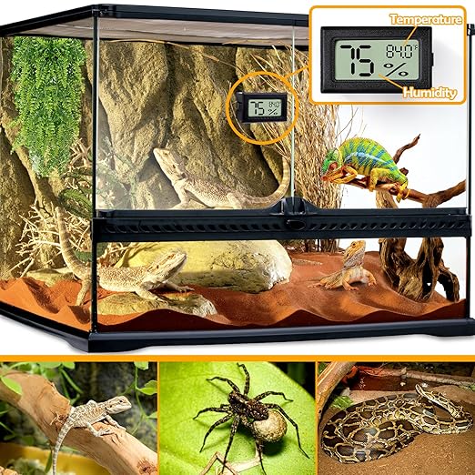 2 PCS Rectangle Reptile Thermometer and Humidity Gauge for Bearded Dragon Accessories, Reptile Tank Accessories for Jumping Spider, Leopard Gecko, Hermit Crab, Gecko, Ball Python, Lizard - Image 2