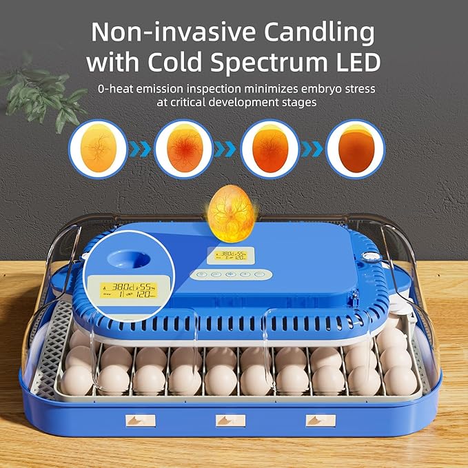 70 Egg Incubator for Hatching Eggs, Intelligent Incubator with high Hatch Rate - DualPower System, Auto Temperature & Humidity Control for 30+ Species, 360° Observation Dome & Cold Spectrum Candling - Image 5