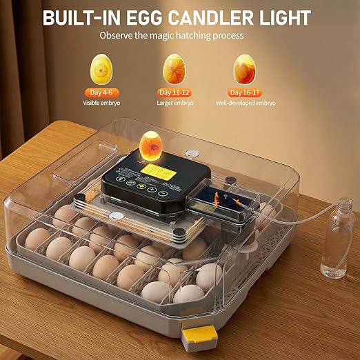 Winado Incubators for Hatching Eggs, 48 Egg Incubator with Automatic Egg Turning, Temperature & Humidity Control, Egg Candler, Automatic Water Filling and Day Counter for Eggs Hatching - Image 4