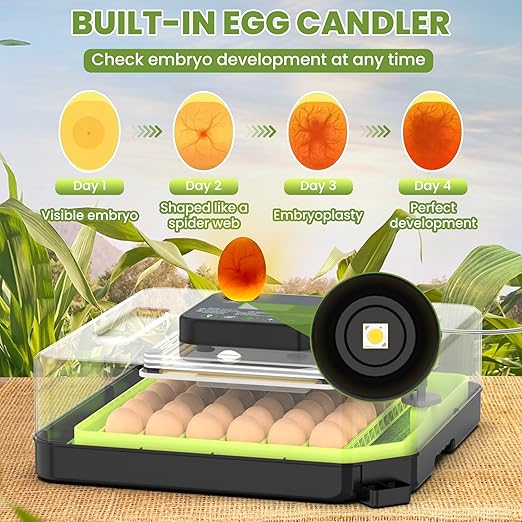 48 Egg Incubator for Hatching Eggs with Automatic Egg Turning, Temperature & Humidity Control, Egg Incubator with 360° View Window and Egg Candler, Incubator for Chicken, Duck, Quail Eggs - Image 5