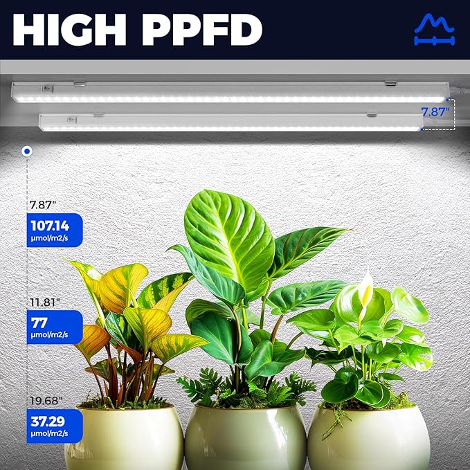 Barrina T5 Grow Lights for Indoor Plants, 2FT 40W (4 X 10W) LED Grow Light with Separate Switch, Linkable Grow Lamp, Indoor Plant Lights for Growth with White Cover, 5000K, 4 Packs - Image 3