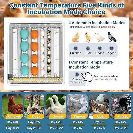 Incubators for Hatching Eggs, 120 Egg Incubator with Automatic Egg Turning and Humidity Monitor,Temperature Control, 5 Automatic Incubation Modes and Incubation Days Record, White - Image 8