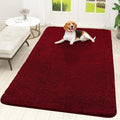 OLANLY Dog Door Mat for Muddy Paws 70x46, Absorbs Moisture and Dirt, Absorbent Non-Slip Washable Doormat, Quick Dry Chenille Mud Mat for Dogs, Entry Indoor Entryway Carpet for Inside Floor, Red by OLANLY