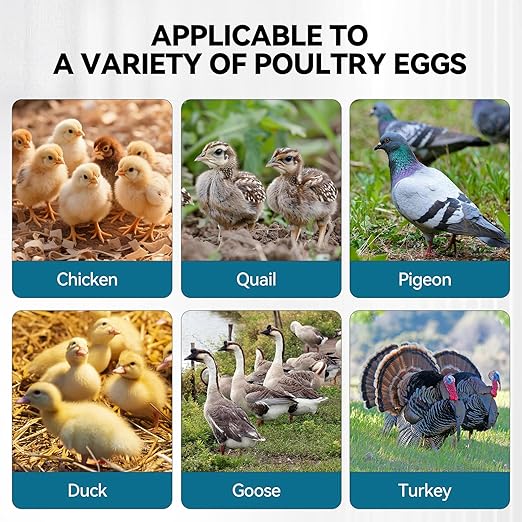 Incubators for Hatching Eggs, 136 Eggs Incubator Digital Poultry Hatcher with Auto Egg Turning, Temp & Humidity Display, 5 Modes, Day Counter & Egg Candler for Chicken/Duck/Goose/Quail - Image 8