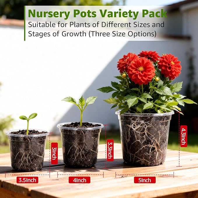 MIXC Clear Nursery Pots with Drainage Holes, 5/4/3.5 Inch Reinforced Transparent Plastic Seed Starter Pots, for Indoor Outdoor Gardening Seedling Planter, 30 Pack - Image 5