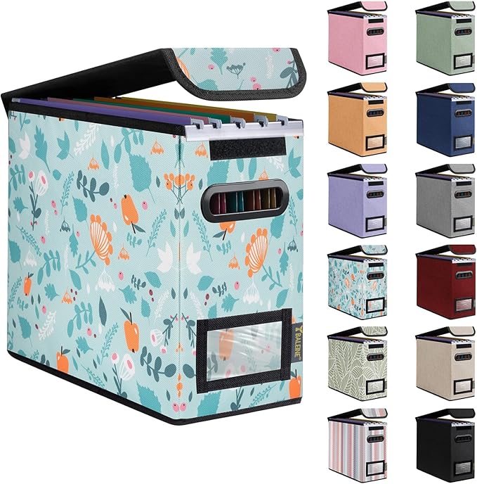 BALEINE File Organizer Box with Lid, Collapsible File Folder Organizer with Plastic Slide, Hanging File Folder Box for Office Document Storage (1 Pack, Spring Stroll, S) by BALEINE