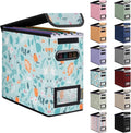 BALEINE File Organizer Box with Lid, Collapsible File Folder Organizer with Plastic Slide, Hanging File Folder Box for Office Document Storage (1 Pack, Spring Stroll, S) by BALEINE