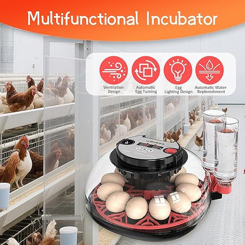 12 Egg Incubator for Hatching Eggs, Automatic Turner with Digital Temperature Humidity Control, 360° Clear View Lid, Auto Water Refill & Built-in Candler for Chicken Duck Quail Birds - Image 2