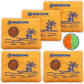 100gx5pcs Rechargeable Desiccant Packs for Storage, Reusable Dehumidifier Bags Visible Color Indicating Silica Gel Packets Moisture Absorbers for Safe Closet 3D Filaments Electronics Camera by Wisesorb