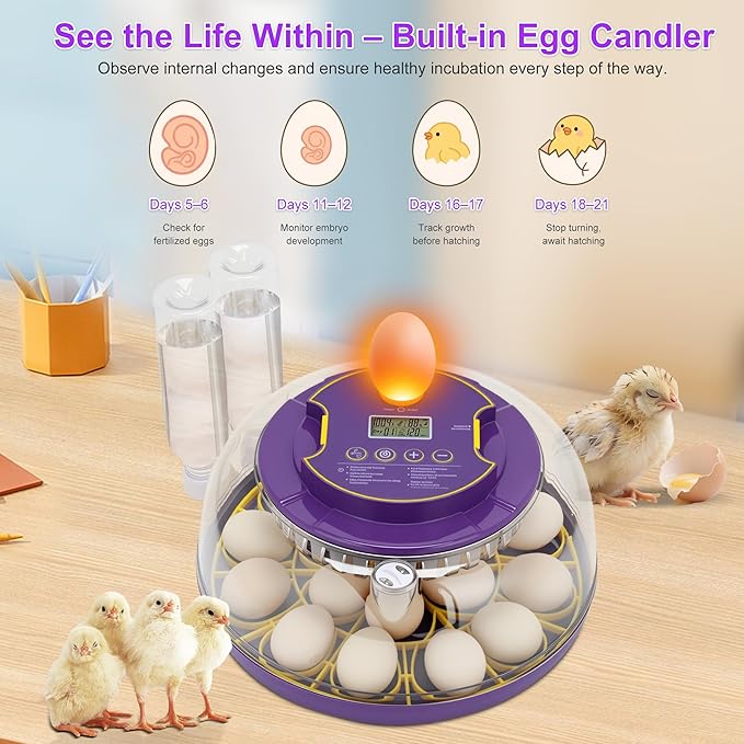 18 Egg Incubator for Hatching Eggs – With Automatic Egg Turning, Temp/Humidity Control, Egg Candler, Incubator Chicken, Duck, Goose, Quail, Parrot, Pigeon – For Home Farm Science Class Lab - Image 5
