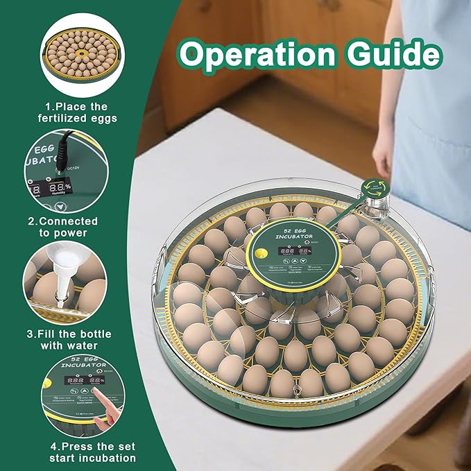 52 Egg Incubator with Automatic Egg Turning and Humidity Control,360 Degree View with Clear Window, Incubators for Hatching Eggs, Chicken, Ducks, Goose, Pigeon, Quail, Parrot - Image 6