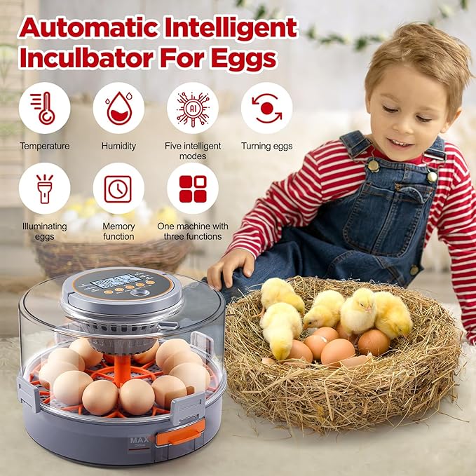 Chicken Egg Incubator 12-40 Eggs - Automatic 760° Egg Turner with Digital Display, Auto Temperature Humidity Control for Hatching Chicken Duck Quail Eggs, High Hatch Rate Poultry Incubator - Image 7