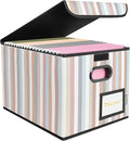 BALEINE File Organizer Box with Lid, Collapsible File Folder Organizer with Plastic Slide, Hanging File Folder Box for Office Document Storage (1 Pack, Color Stripe) by BALEINE