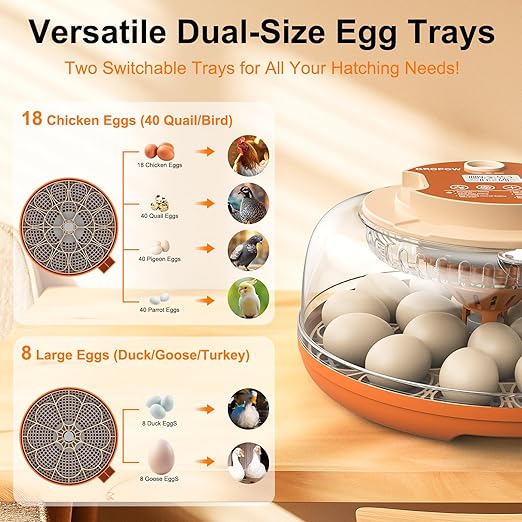 18 Egg Incubator, Automatic Turning with Temperature & Humidity Control, Egg Candler, 360 View with Air Vent, Auto Water Bottle Refill, Chicken Incubator for Hatching Eggs - Image 6