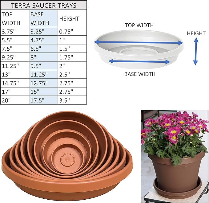 Bloem Terra Resin Saucer Tray: 9.25" Bottom Width - Chocolate Brown - Matte, Durable, Ribbed Bottom, Indoor and Outdoor, Fits 12" Terra Pots - Image 3