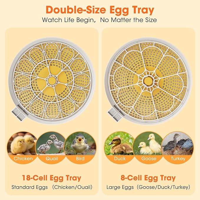 18 Egg Incubator with Automatic Egg Turning & Humidity Control, Built-in Egg Candler, 360° View Window & Dual-Size Trays for Chicken, Duck, Quail, Goose Eggs – Ideal for Farm, Classroom, Home - Image 7