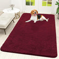 OLANLY Dog Door Mat for Muddy Paws 59x35, Absorbs Moisture and Dirt, Absorbent Non-Slip Washable Doormat, Quick Dry Chenille Mud Mat for Dogs, Entry Indoor Entryway Carpet for Inside Floor, Burgundy by OLANLY