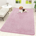 OLANLY Dog Door Mat for Muddy Paws 70x46, Absorbs Moisture and Dirt, Absorbent Non-Slip Washable Doormat, Quick Dry Chenille Mud Mat for Dogs, Entry Indoor Entryway Carpet for Inside Floor, Dusty Rose by OLANLY