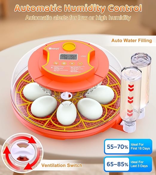 18 Egg Incubator with Automatic Egg Turning, Digital Temperature Humidity Control, Incubator for Hatching Eggs, 360° View Candler, Chicken, Quail, Duck, Goose, Turkey for Home & Farm - Image 3