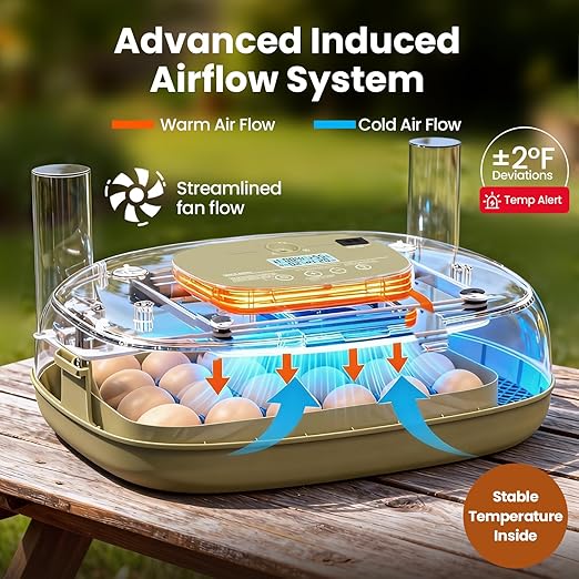 Incubators for Hatching Eggs,24 Eggs Capacity with Automatic Turning, Accurate Temp & Humidity Control, Egg Candler, Air Vent, and 360° Viewing for Chicken, Duck, Quail & Goose Eggs - Image 2