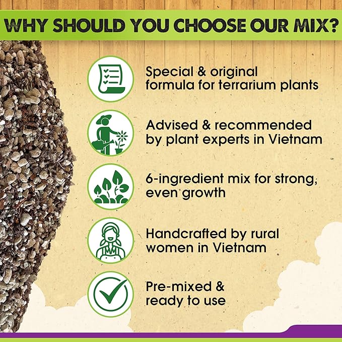 DUSPRO Recycle Premium 6in1 Terrarium Soil Mix – Pre-Mixed Terrarium Substrate Mix for Terrariums, Balanced Moisture Growing Medium with Coco Coir, Peat Moss, Pine Bark, Perlite, Pumice & Zeolite 8QRT - Image 4