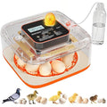 Incubators for Hatching Eggs 12 Egg Digital Egg Incubator Precision Auto Temp Humidity Control 6 Gear Adjustable Auto Turner Auto Stop Turning Hatching Days Display for Chicken Duck Goose Eggs by Unknown