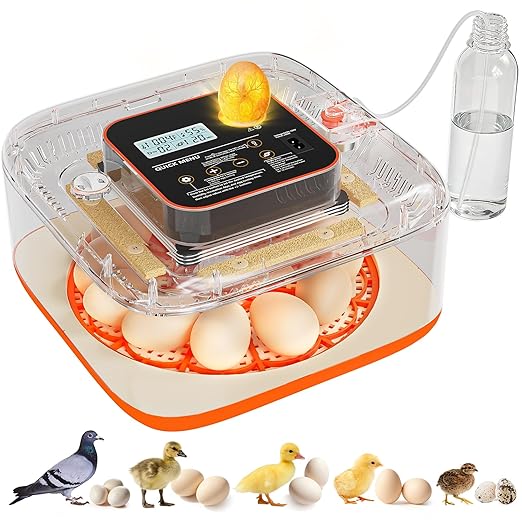 Incubators for Hatching Eggs 12 Egg Digital Egg Incubator Precision Auto Temp Humidity Control 6 Gear Adjustable Auto Turner Auto Stop Turning Hatching Days Display for Chicken Duck Goose Eggs by Unknown
