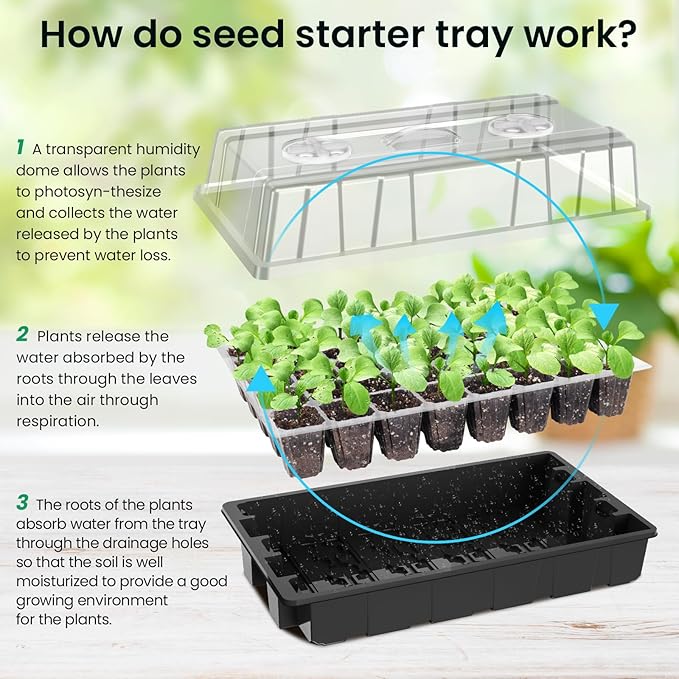 MIXC Seed Starter Tray with Lights, 2 Packs Mini Propagator Plant Grow Kit Greenhouse with Humidity Vented Domes and Base for Seeds Starting, Black - Image 5