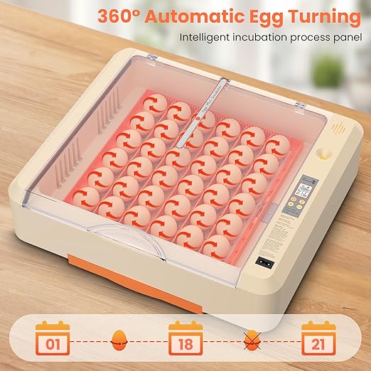 36-60 Egg Incubator with Automatic Egg Turning and Humidity Control, Adjustable Chicken Egg Incubator with Digital Display, for Hatching Eggs Include Chicken Duck Quail Eggs(Orange) - Image 3