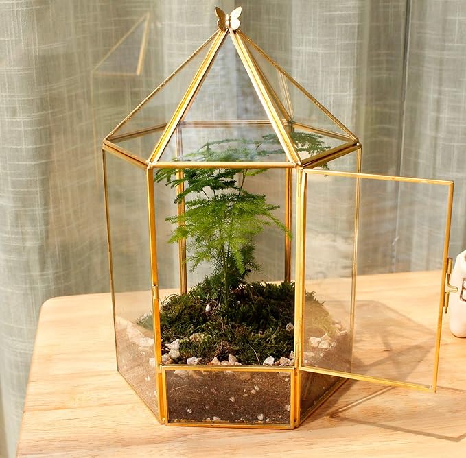 ELEGANTLIFE Glass Geometric Plant Terrarium,Succulent & Air Planter for Home Garden Office Decoration,No Plants(Gold Hexagonal) - Image 3