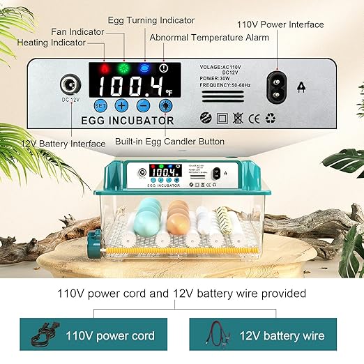 Incubators for Hatching 16 Eggs, Egg Incubator with Automatic Egg Turning and Humidity Fill, Temperature Control, Incubator with Adjustable Rollers for Chickens, Ducks, Geese, and Quails - Image 5